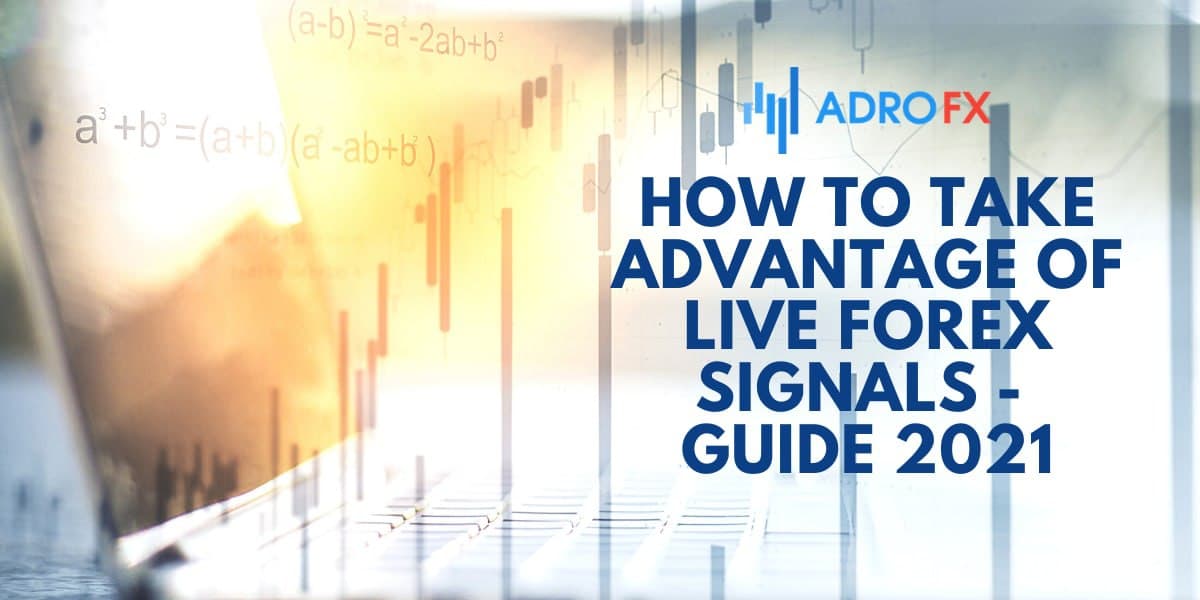 How to Take Advantage of Live Forex Signals- Guide 2021