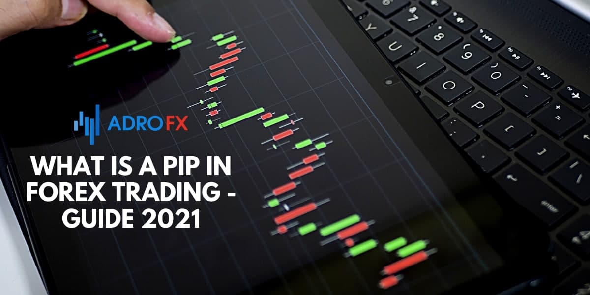 What Is a Pip In Forex Trading - Guide 2021