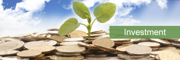 What Is Green Investing?