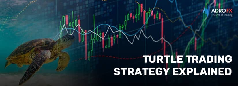Turtle Trading Strategy Explained 