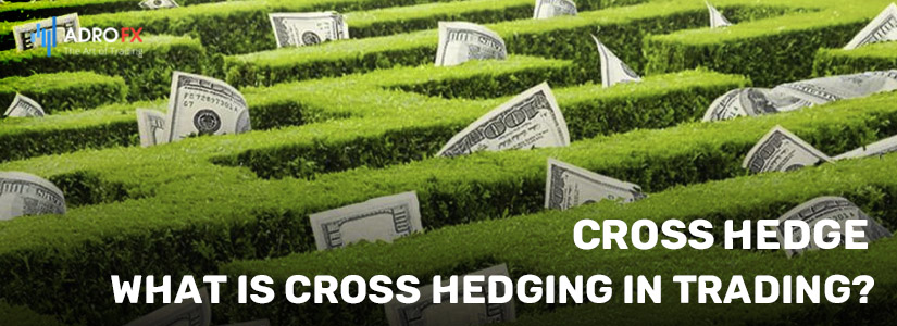Cross-Hedge-What-is-Cross-Hedging-in-Trading-fullpage