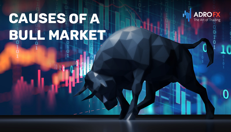Causes-of-a-Bull-Market
