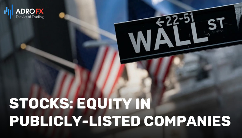 Stocks-Equity-in-Publicly-Listed-Companies