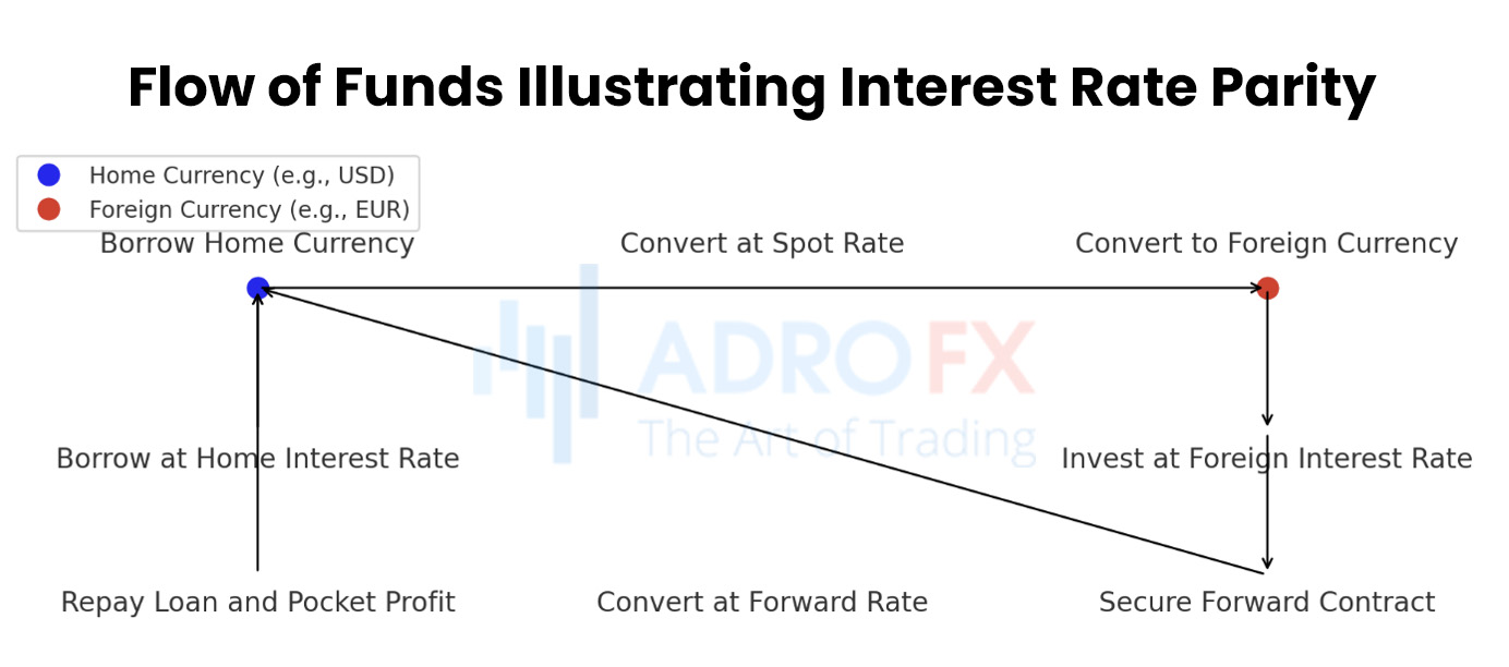 Interest-Rate-Parity