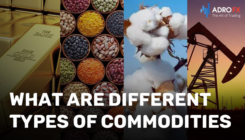 What-Are-Different-Types-of-Commodities