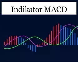 What the MACD Indicator is and How it Works